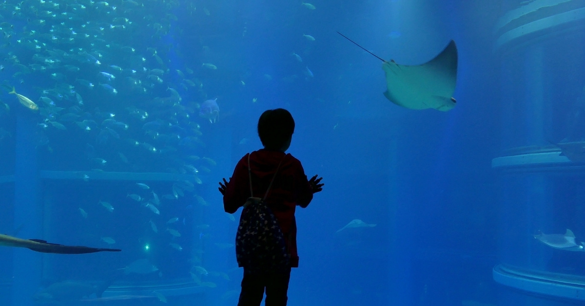 Curated visual reference: Picture Idea: New Expansion Planned For Nc Aquarium At Fort Fisher